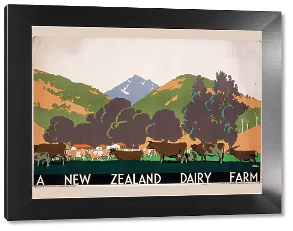 Poster advertising a New Zealand Dairy Farm