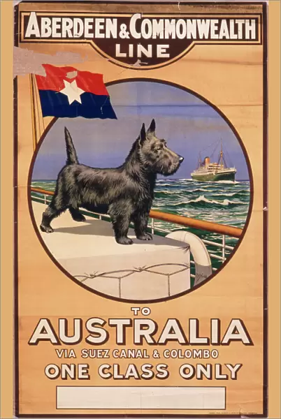 Poster for Aberdeen & Commonwealth Line to Australia