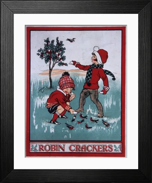 Framed Print : Robin crackers Framed Print : Robin crackers