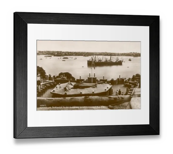 Framed Print : Taronga Park, Sydney Framed Print : Taronga Park, Sydney