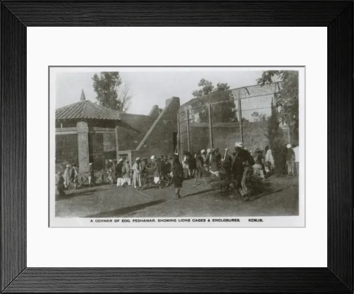 Framed Print : Pakistan - Peshawar Zoo Framed Print : Pakistan - Peshawar Zoo