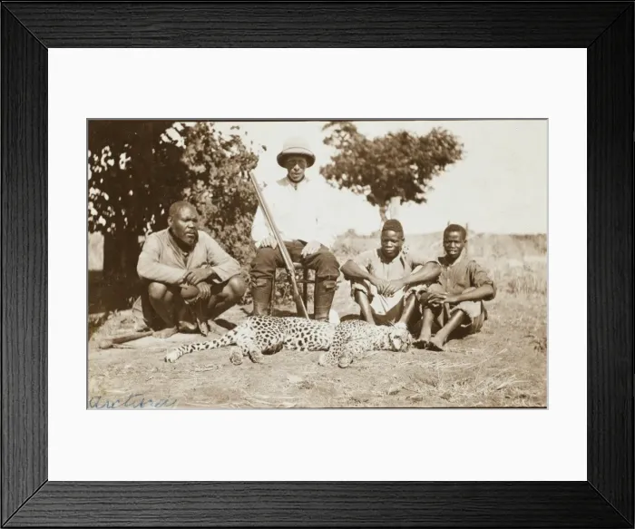 Framed Print : Rhodesia - Zimbabwe - Cheetah Hunting Framed Print : Rhodesia - Zimbabwe - Cheetah Hunting