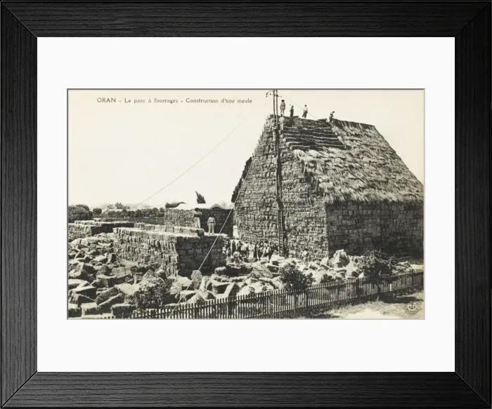 Framed Print : Building a mill at an outdoor hay store at Oran, Algeria Framed Print : Building a mill at an outdoor hay store at Oran, Algeria