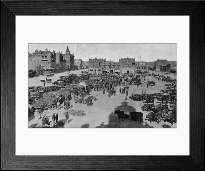 Framed Print : South Africa Jo burg Framed Print : South Africa Jo burg