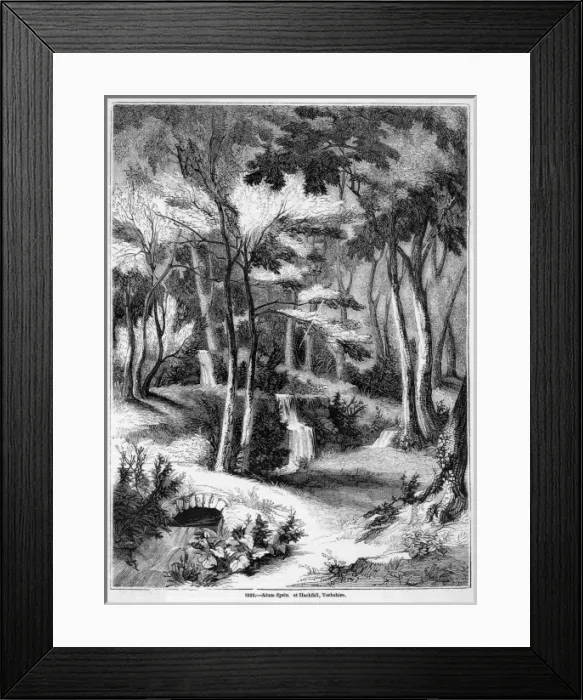 Framed Print : Hackfall Spring Framed Print : Hackfall Spring