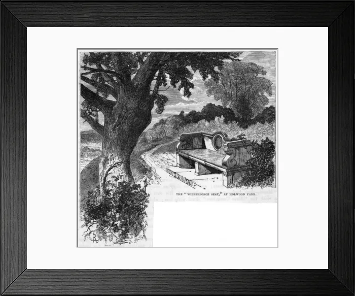 Framed Print : Holwood Park, Kent Framed Print : Holwood Park, Kent