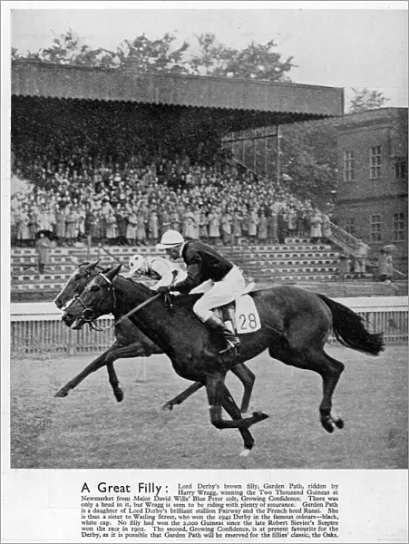 Garden Path winning the Two Thousand Guineas at Newmarket