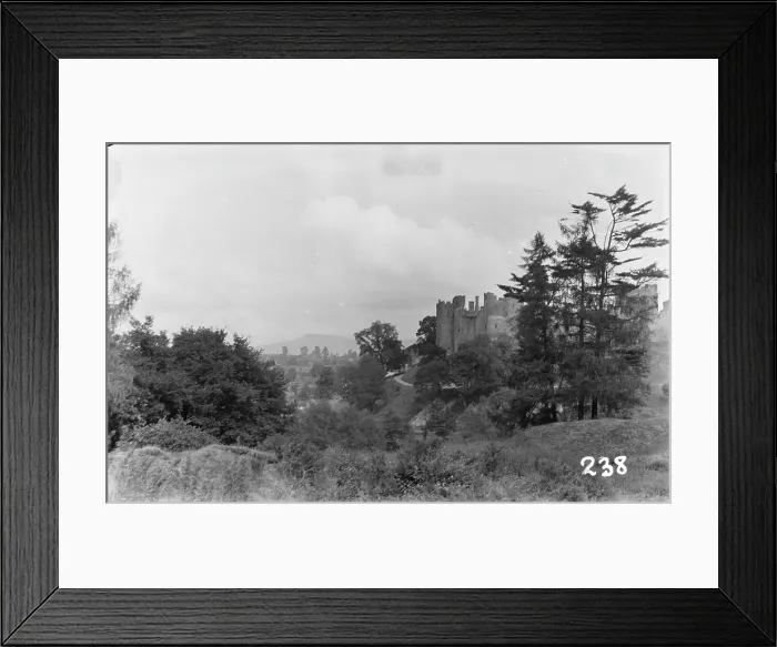 Framed Print : Scenic View of a Castle Framed Print : Scenic View of a Castle