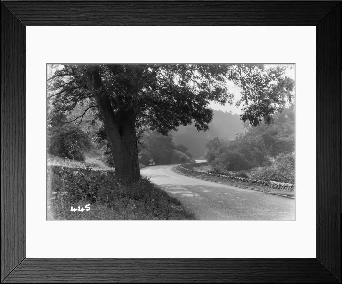 Framed Print : Serene Country Road Framed Print : Serene Country Road