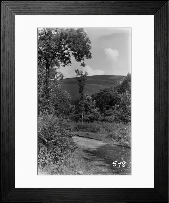 Framed Print : Serene Hillside Path Framed Print : Serene Hillside Path