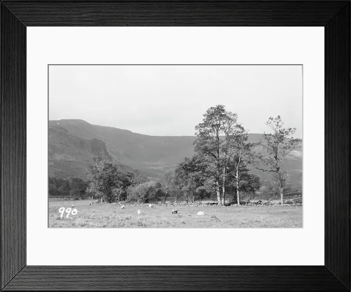 Framed Print : Serene Landscape with Sheep