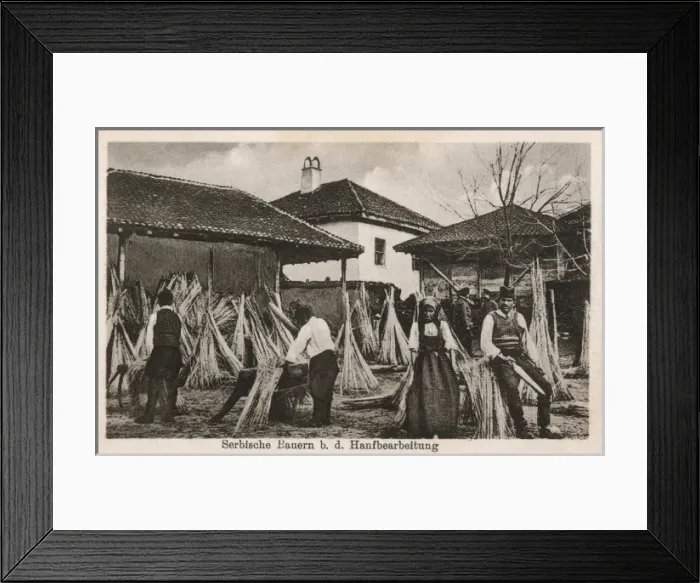 Framed Print : Serbian Hemp workers Framed Print : Serbian Hemp workers