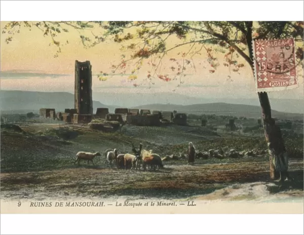 The Ruins of Mansoura - Algeria