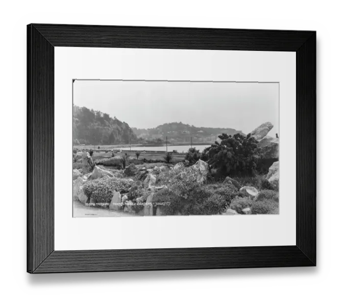 Framed Print : Torre Abbey Gardens Framed Print : Torre Abbey Gardens