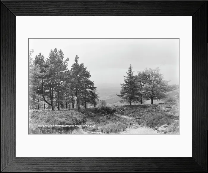 Framed Print : Scenic View of Haldon Moor Framed Print : Scenic View of Haldon Moor