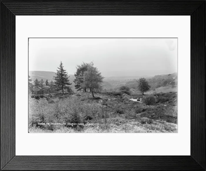 Framed Print : Scenic View of Haldon Moor Framed Print : Scenic View of Haldon Moor