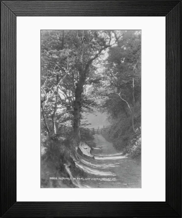 Framed Print : Pathway in Fairlight Glen