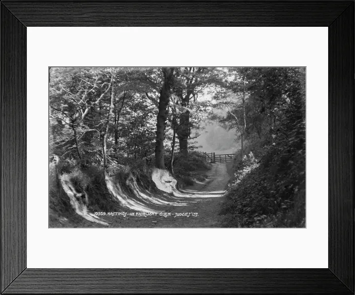 Framed Print : Hastings in Fairlight Glen Framed Print : Hastings in Fairlight Glen