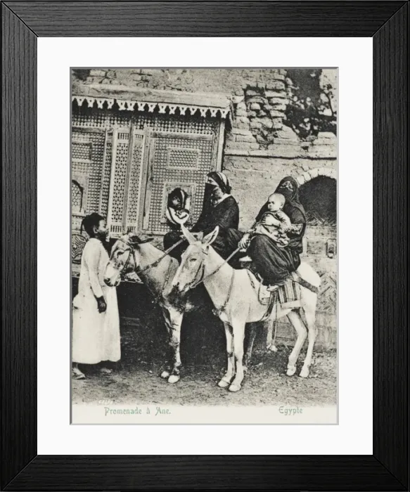Framed Print : Egypt - Cairo - Donkey Ride Framed Print : Egypt - Cairo - Donkey Ride