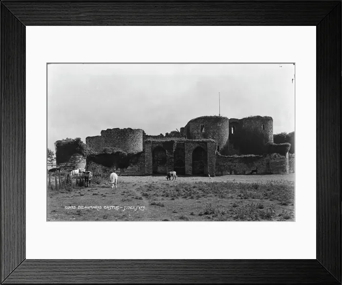 Framed Print : Beaumaris Castle Ruins Framed Print : Beaumaris Castle Ruins