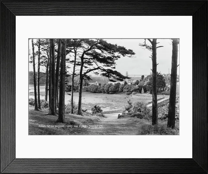 Framed Print : Menai Bridge Through the Pines Framed Print : Menai Bridge Through the Pines