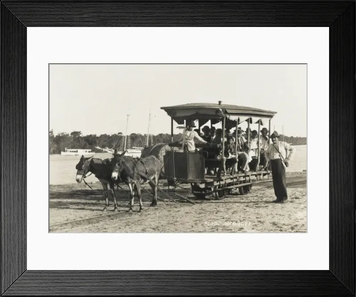 Framed Print : Paranagua Mule-powered Railway, Brazil Framed Print : Paranagua Mule-powered Railway, Brazil