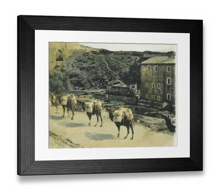 Framed Print : Izmir, Turkey - Camel Train Framed Print : Izmir, Turkey - Camel Train