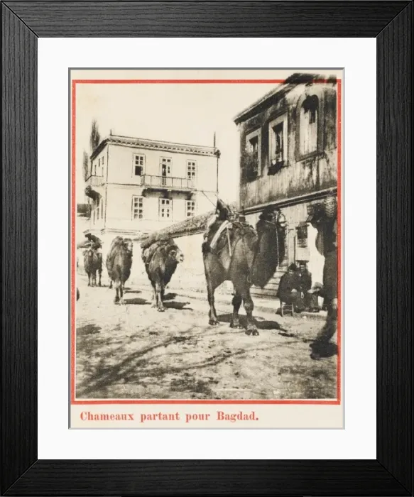 Framed Print : Samsun - Camel train leaves for Baghdad Framed Print : Samsun - Camel train leaves for Baghdad