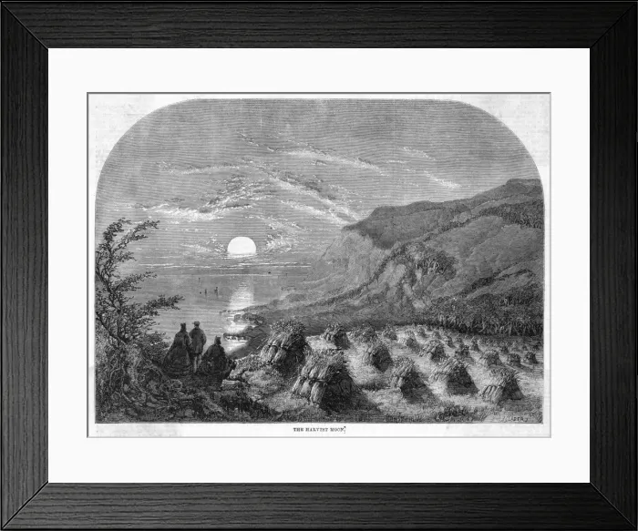 Framed Print : Harvest Moon Framed Print : Harvest Moon