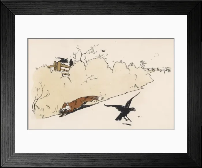 Framed Print : Fox Tries to Escape Framed Print : Fox Tries to Escape