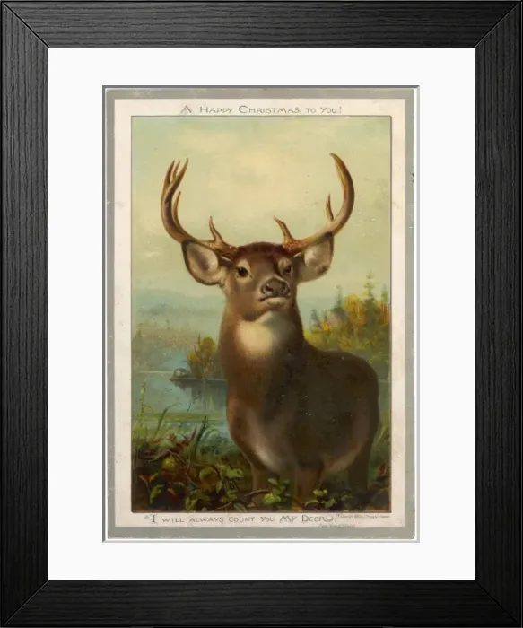 Framed Print : LARGE STAG Framed Print : LARGE STAG