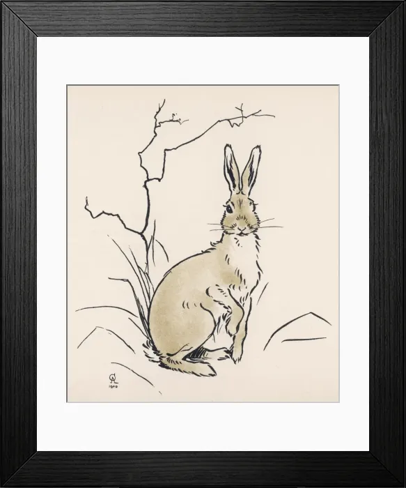 Framed Print : Rabbit Alert by Aldin Framed Print : Rabbit Alert by Aldin