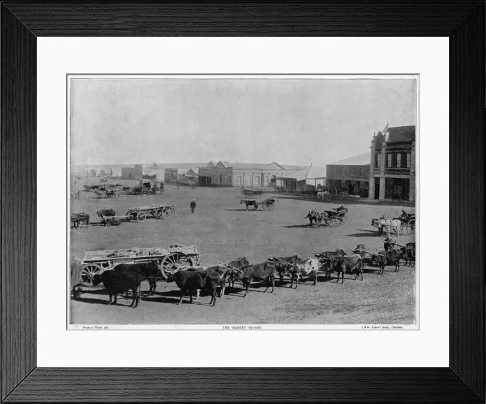 Framed Print : South Africa Jo burg Framed Print : South Africa Jo burg