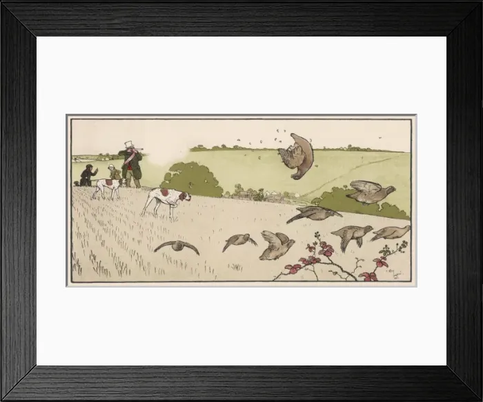 Framed Print : Shooting Birds Aldin Framed Print : Shooting Birds Aldin