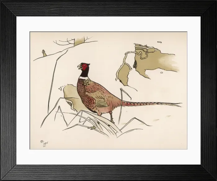 Framed Print : Shooting Pheasant Aldin Framed Print : Shooting Pheasant Aldin