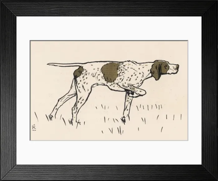 Framed Print : Pointer by Aldin Framed Print : Pointer by Aldin