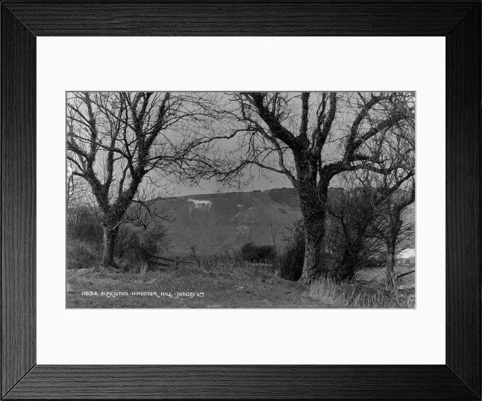 Framed Print : Hindover Hill Horse