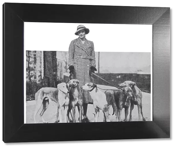 Lady Weymouth with her greyhounds