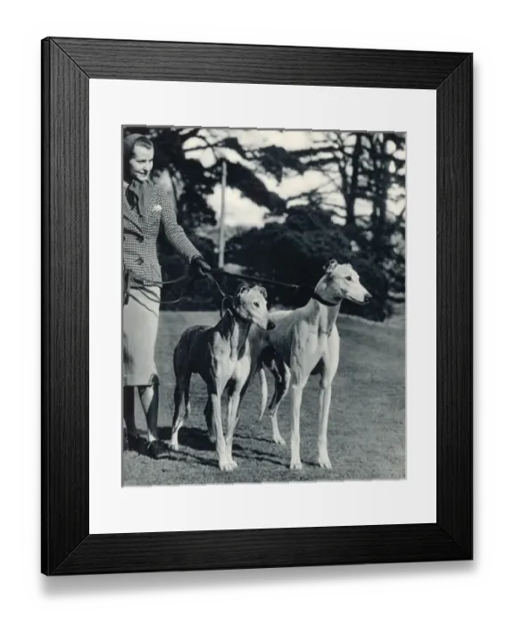 Framed Print : Lady and Greyhounds Framed Print : Lady and Greyhounds