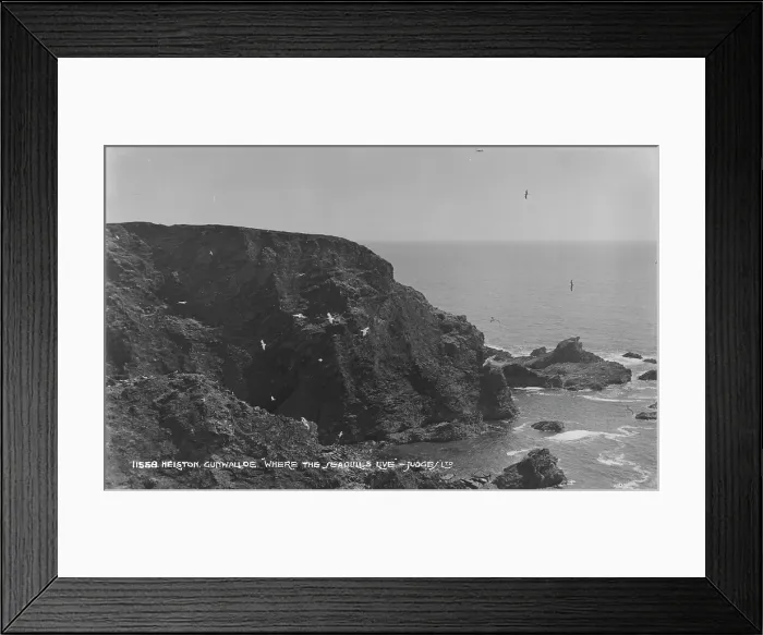 Framed Print : Where the Seagulls Live Framed Print : Where the Seagulls Live