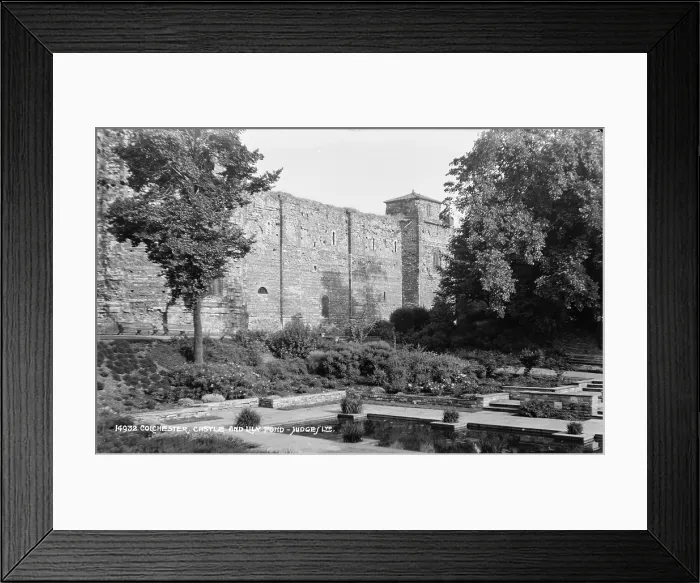 Framed Print : Colchester Castle and Lily Pond Framed Print : Colchester Castle and Lily Pond