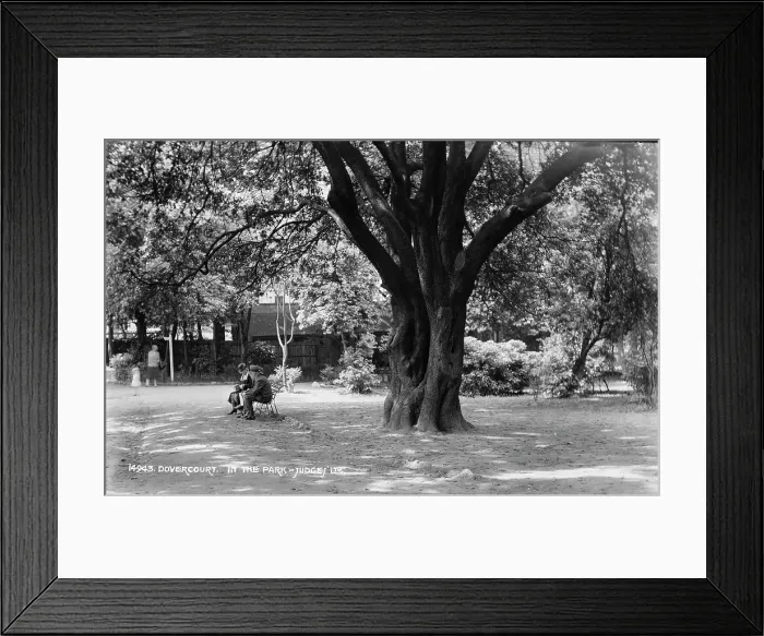 Framed Print : In the Park Framed Print : In the Park