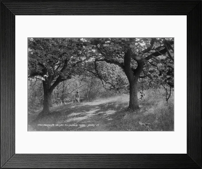 Framed Print : A Quiet Moment in Paradise Valley Framed Print : A Quiet Moment in Paradise Valley