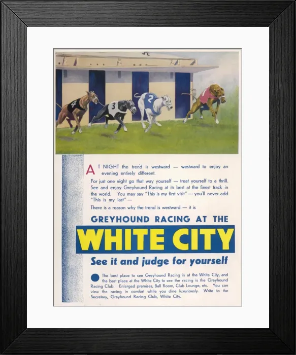 Framed Print : White City Greyhound Racing Advertisement Framed Print : White City Greyhound Racing Advertisement