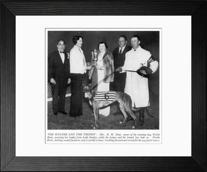 Framed Print : Mrs R. H. Dent with the Greyhound Derby trophy and Wattle Bar Framed Print : Mrs R. H. Dent with the Greyhound Derby trophy and Wattle Bar