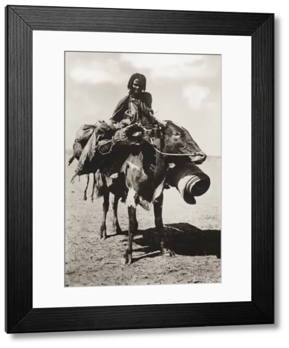 Framed Print : Sudan - Native woman riding a cow - Kordofan Framed Print : Sudan - Native woman riding a cow - Kordofan