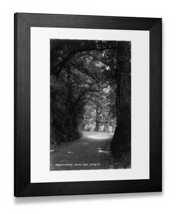 Framed Print : Tunnel Lane, Flatford Framed Print : Tunnel Lane, Flatford