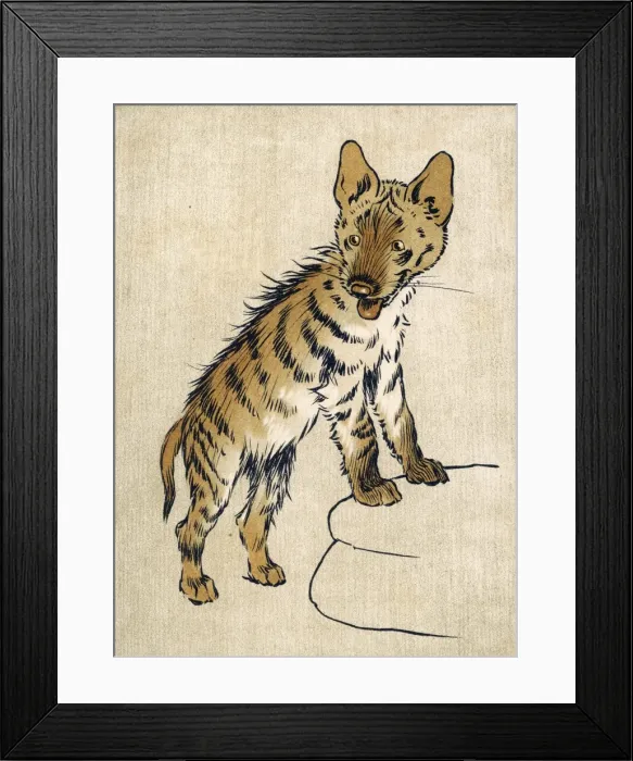 Framed Print : Young Hyena Aldin Framed Print : Young Hyena Aldin