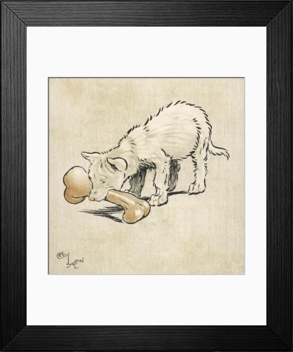 Framed Print : Dingo Puppy Aldin Framed Print : Dingo Puppy Aldin