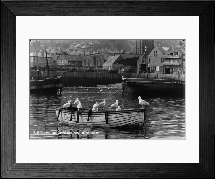 Framed Print : Seagulls on a Boat in St. Ives Framed Print : Seagulls on a Boat in St. Ives